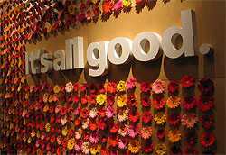 Adobe's new campaign