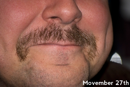 mike-stache-day-27-500