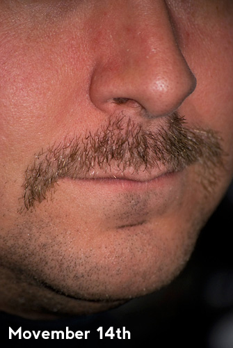 movember-14th