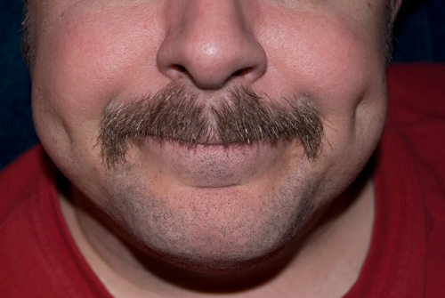 final-day-pokey-mustache-500