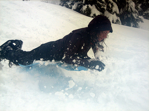 Crazy Carpeting picture by Canadian Veggie on Flickr